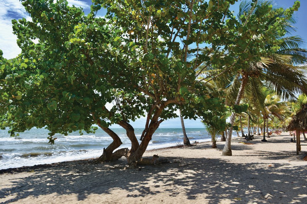 Hopkins Beach Area