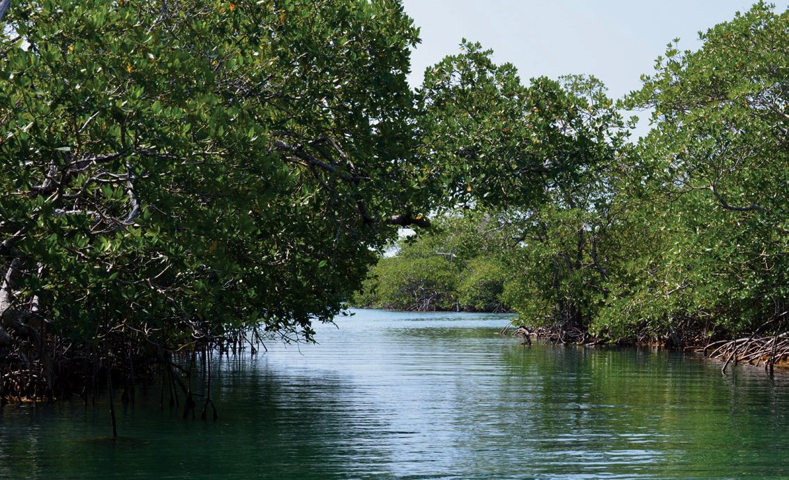 Paddleboarding on the Caribbean, Belize